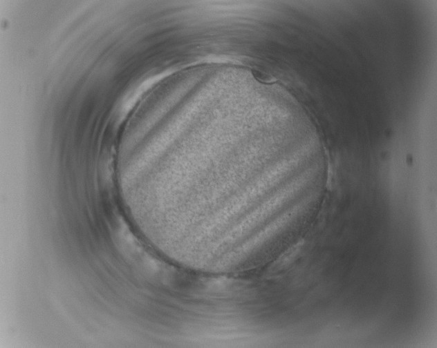 X0000051880098200507081923