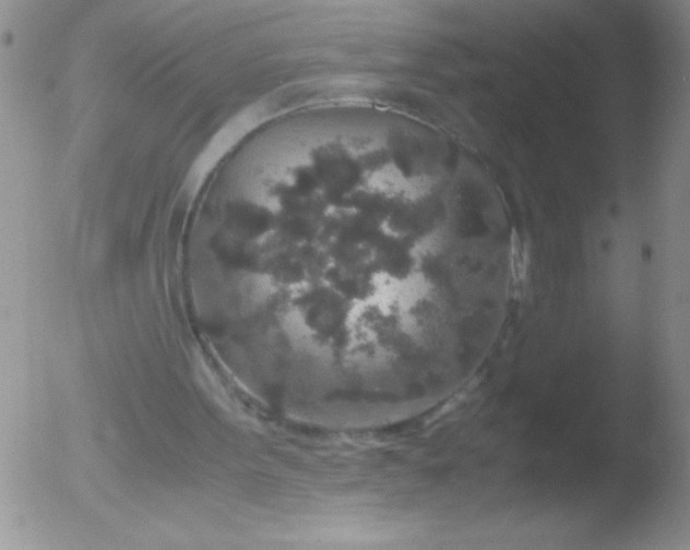 X0000051880099200507081923