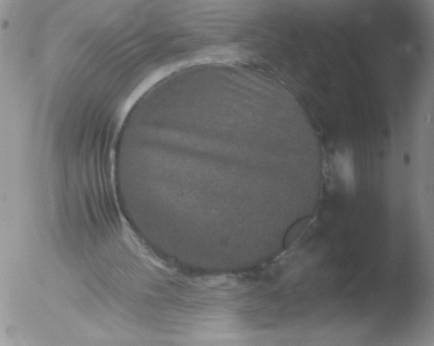 X0000051880100200507081923