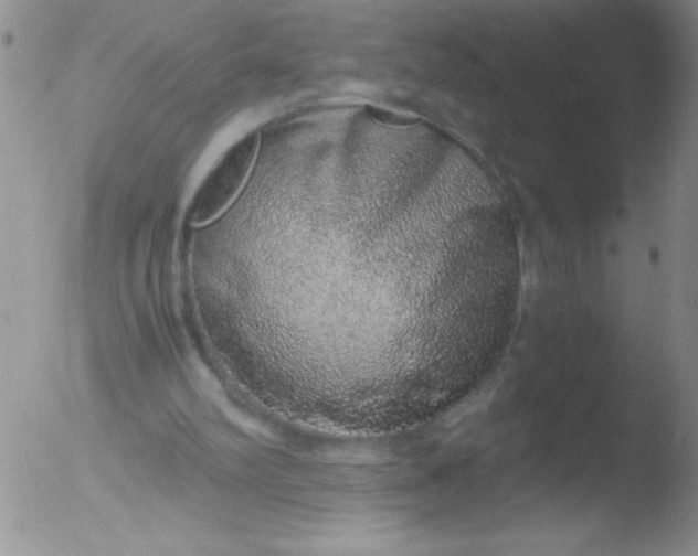 X0000051880102200507081923