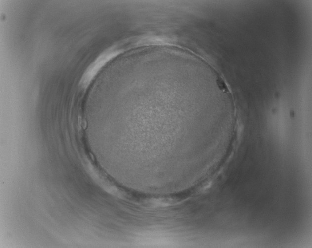 X0000051880103200507081923