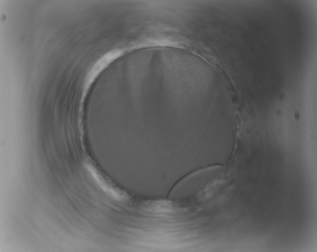 X0000051880104200507081923