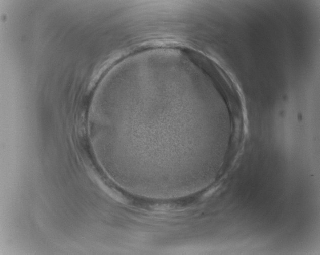 X0000051880105200507081923