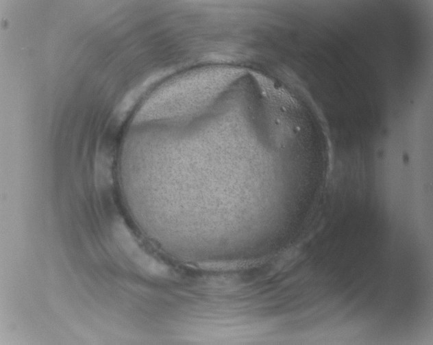 X0000051880106200507081923