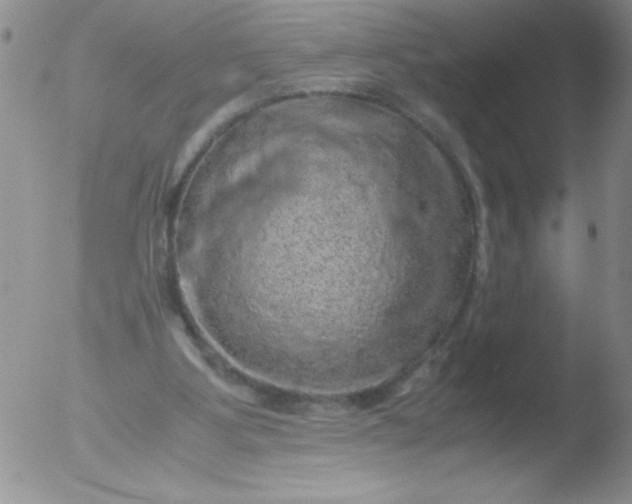 X0000051880107200507081923