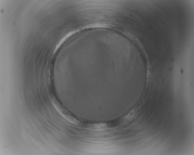 X0000051880108200507081923