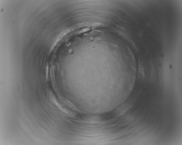 X0000051880110200507081923