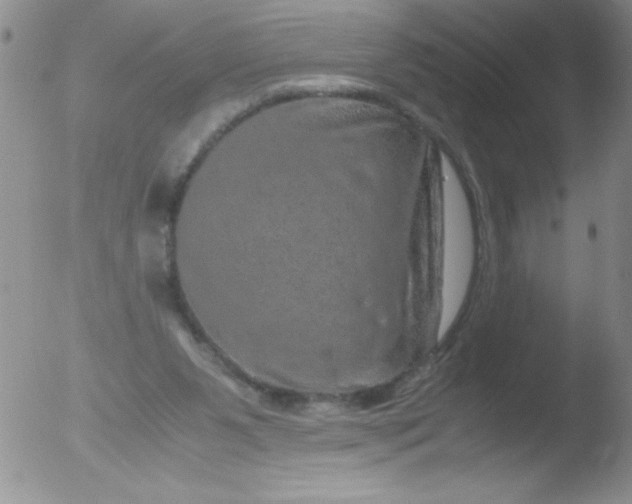 X0000051880111200507081923