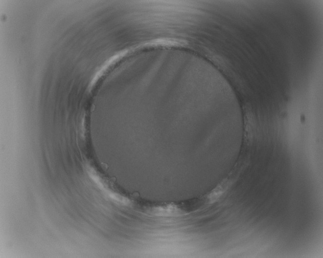 X0000051880112200507081923