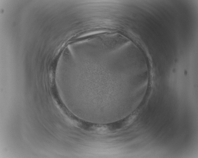 X0000051880113200507081923