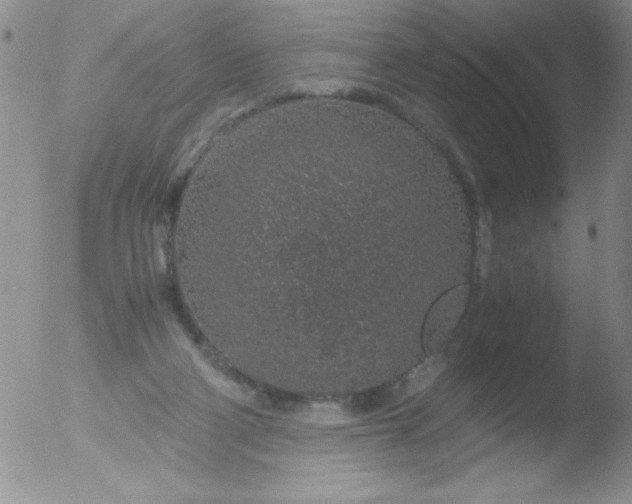 X0000051880114200507081923