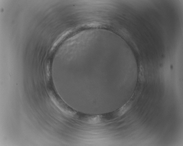 X0000051880116200507081923