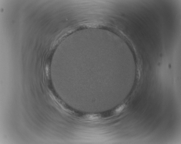 X0000051880117200507081923