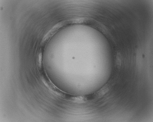 X0000051880118200507081923