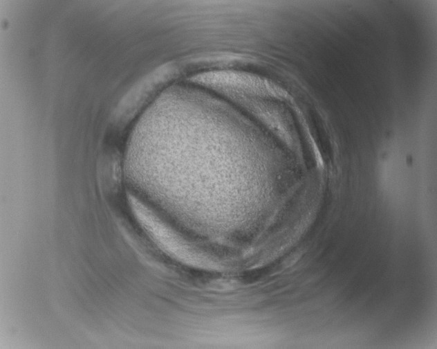 X0000051880119200507081923