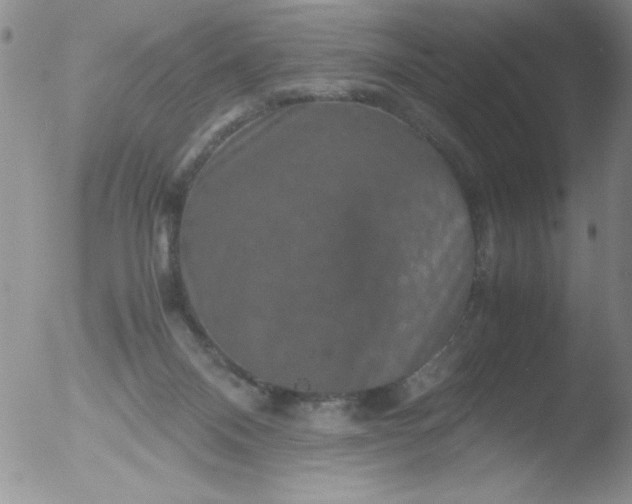 X0000051880120200507081923