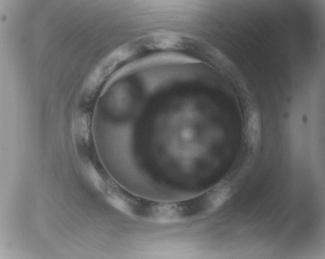 X0000051880121200507081923