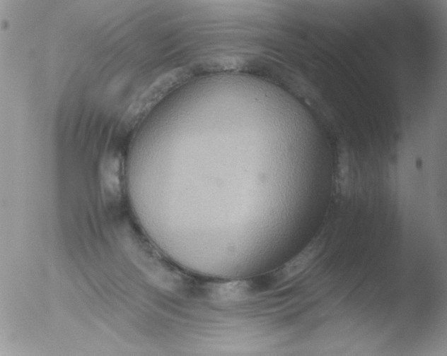 X0000051880122200507081923