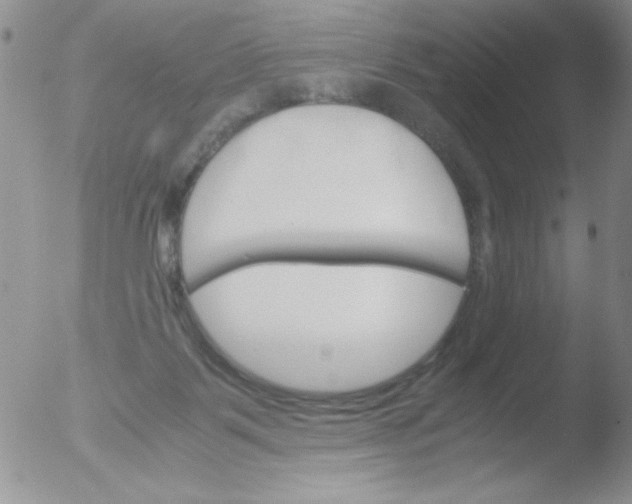 X0000051880123200507081923