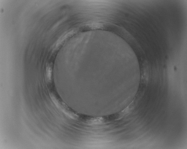 X0000051880124200507081923