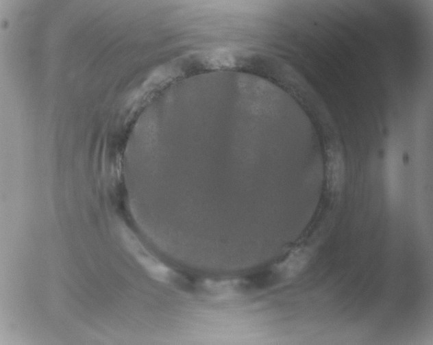 X0000051880125200507081923