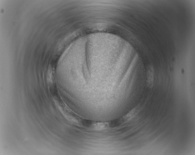 X0000051880126200507081923