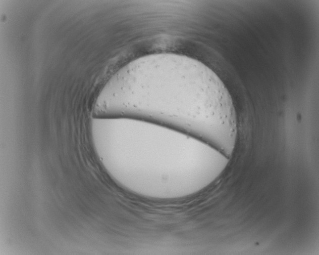 X0000051880127200507081923