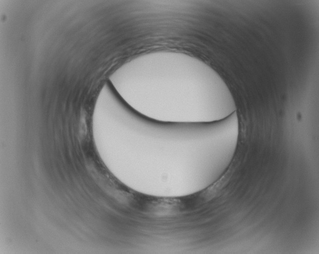 X0000051880128200507081923