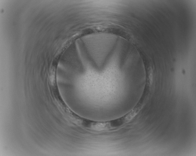 X0000051880129200507081923