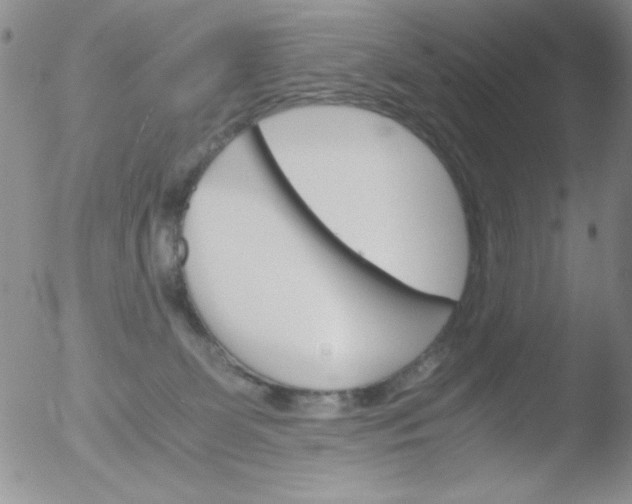 X0000051880131200507081923