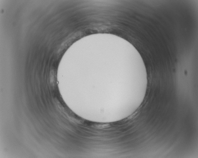 X0000051880132200507081923