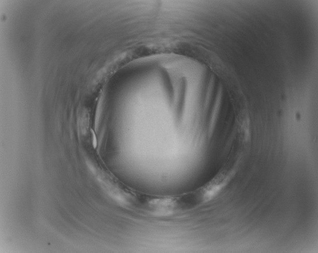 X0000051880133200507081923