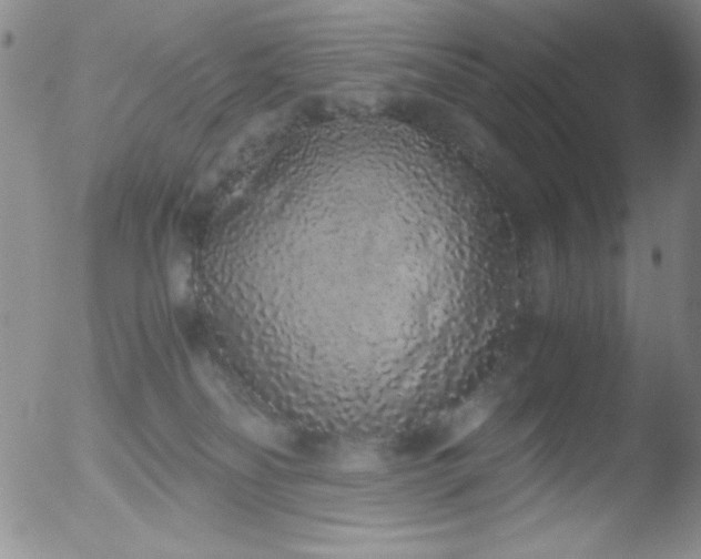 X0000051880134200507081923