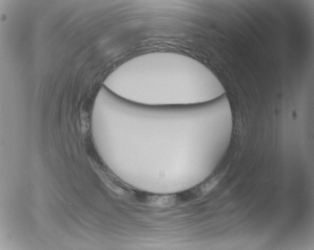 X0000051880135200507081923