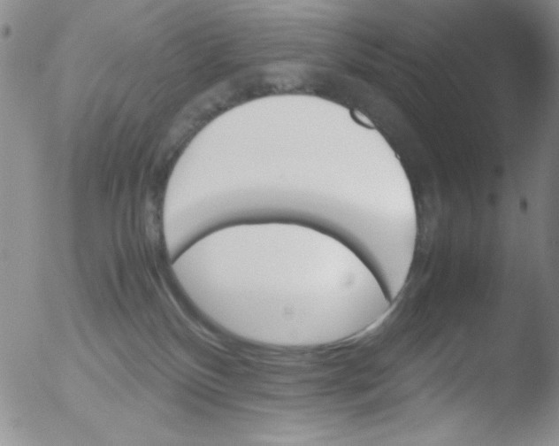 X0000051880136200507081923