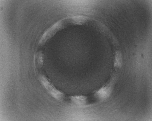 X0000051880137200507081923