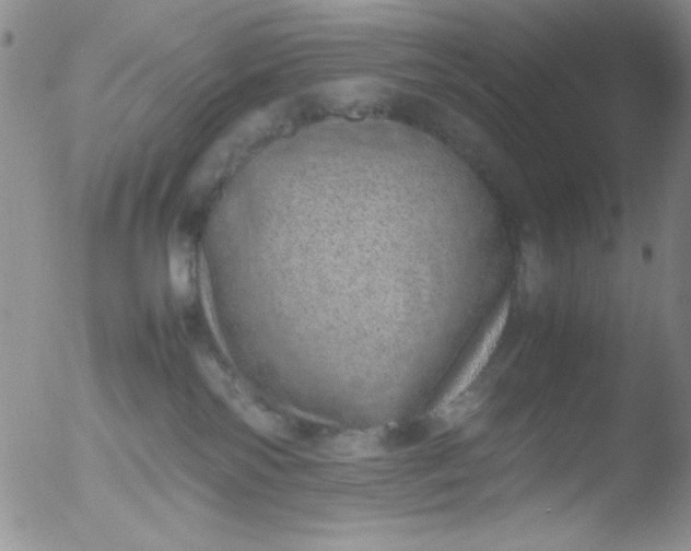 X0000051880138200507081923