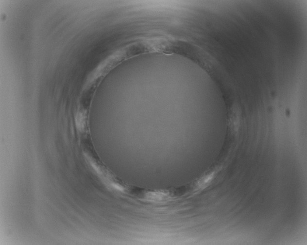 X0000051880139200507081923