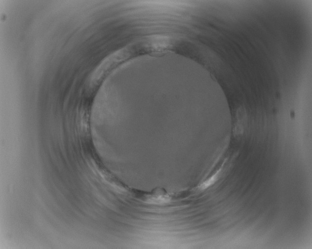 X0000051880140200507081923