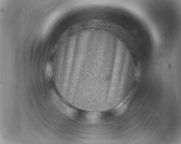 X0000051880142200507081923