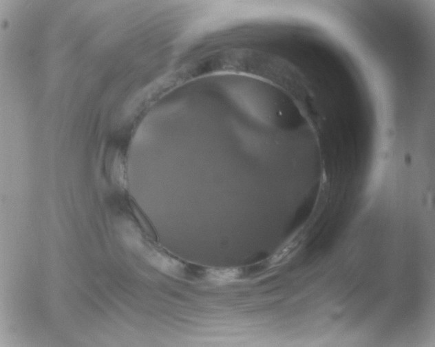 X0000051880143200507081923