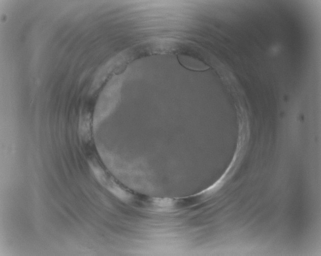 X0000051880144200507081923