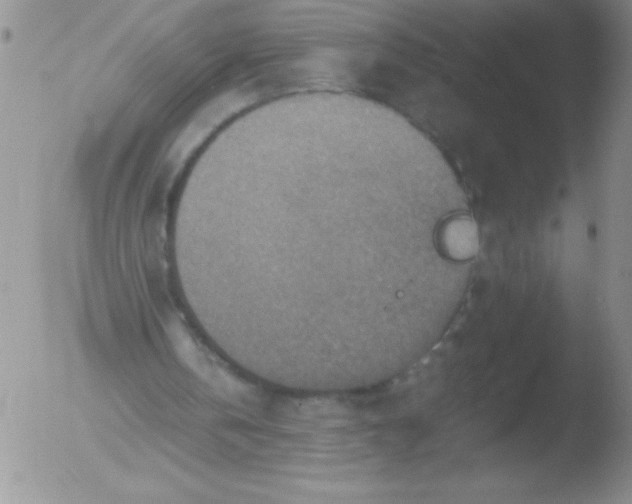 X0000051880146200507081922