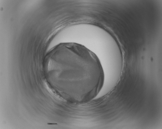 X0000051880154200507081922