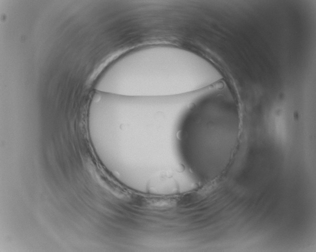 X0000051880155200507081922