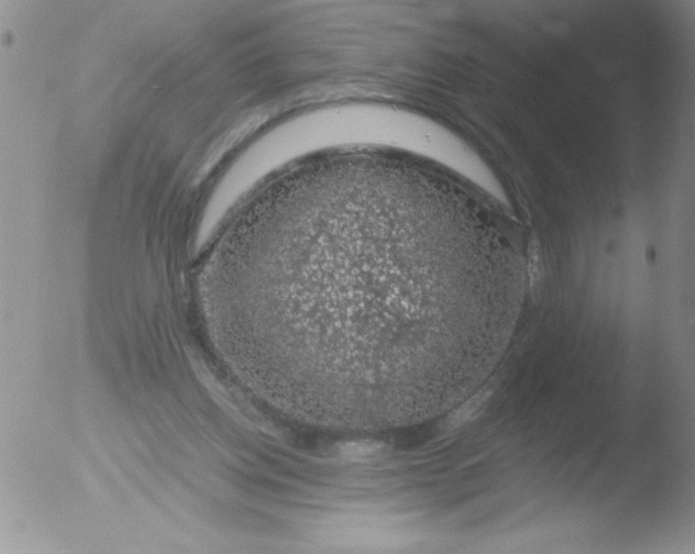 X0000051880158200507081922