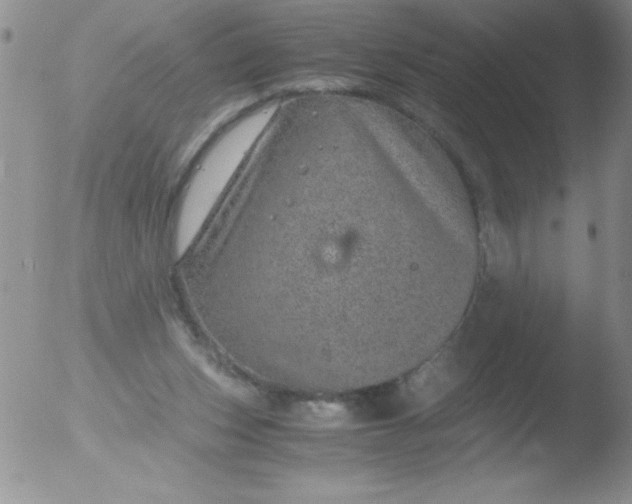 X0000051880159200507081922