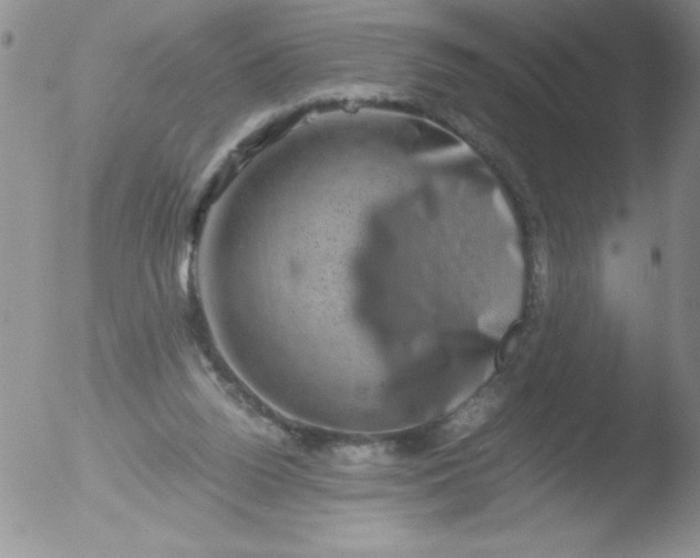 X0000051880160200507081922