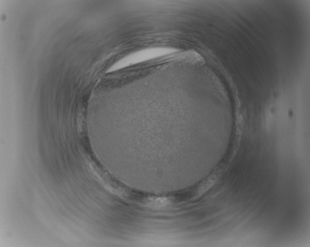 X0000051880161200507081922