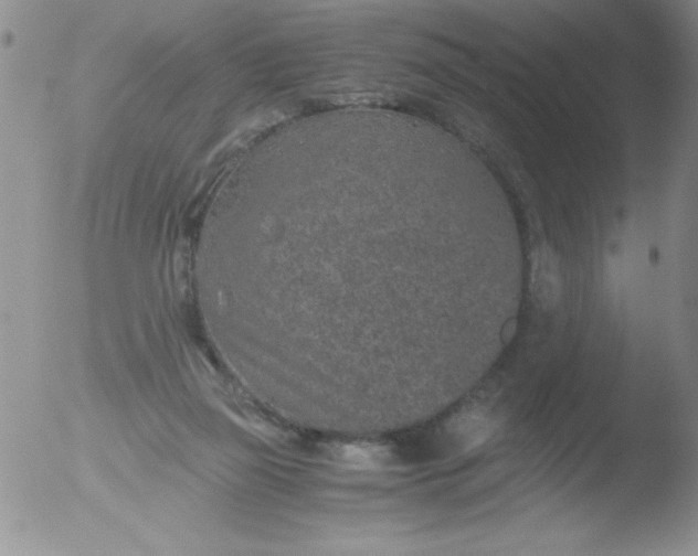 X0000051880165200507081922